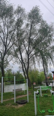 Zabiegi pielęgnacyjne (5)