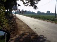 DSCN6063