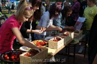 Festiwal Truskawki - Załuski 2011 - zdjęcia część 1 (77)