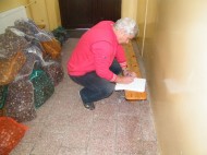 konkurs kasztany 2014 w sp Szczytno (5)