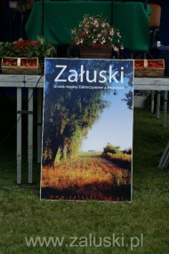 Festiwal Truskawki - Załuski 2011 - zdjęcia część 1 (8)