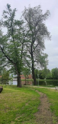Zabiegi pielęgnacyjne (3)