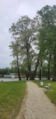 Zabiegi pielęgnacyjne (10)