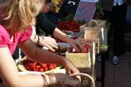Festiwal Truskawki - Załuski 2011 - zdjęcia część 1 (84)