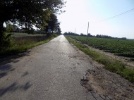 DSCN6052
