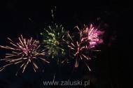 Festiwal Truskawki - Załuski 2011 - zdjęcia część 2 (146)