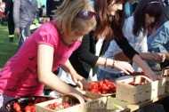 Festiwal Truskawki - Załuski 2011 - zdjęcia część 1 (78)
