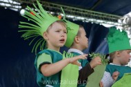 Festiwal Truskawki - Załuski 2011 - zdjęcia część 1 (29)