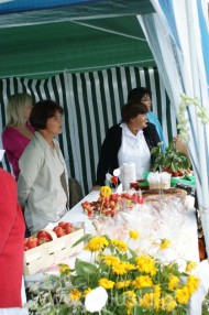 Festiwal Truskawki - Załuski 2011 - zdjęcia część 1 (25)