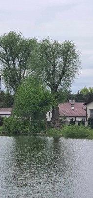 Zabiegi pielęgnacyjne (20)