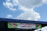 Festiwal Truskawki - Załuski 2011 - zdjęcia część 1 (7)