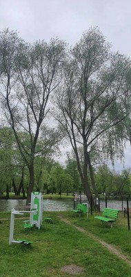 Zabiegi pielęgnacyjne (12)