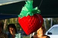 Festiwal Truskawki - Załuski 2011 - zdjęcia część 2 (104)