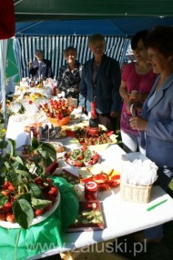 Festiwal Truskawki - Załuski 2011 - zdjęcia część 1 (60)