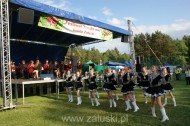 Festiwal Truskawki - Załuski 2011 - zdjęcia część 1 (155)
