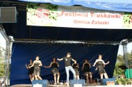 Festiwal Truskawki - Załuski 2011 - zdjęcia część 1 (143)