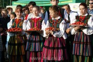 Festiwal Truskawki - Załuski 2011 - zdjęcia część 2 (18)