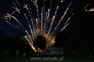 Festiwal Truskawki - Załuski 2011 - zdjęcia część 2 (145)