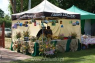 Festiwal Truskawki - Załuski 2011 - zdjęcia część 1 (1)