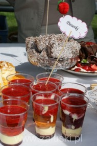 Festiwal Truskawki - Załuski 2011 - zdjęcia część 1 (23)