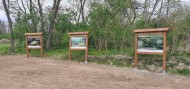 ścieżki (2)