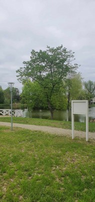Zabiegi pielęgnacyjne (19)