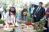Festiwal Truskawki - Załuski 2011 - zdjęcia część 1 (79)