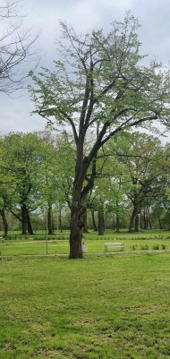 Zabiegi pielęgnacyjne (4)