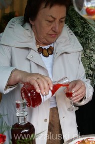 Festiwal Truskawki - Załuski 2011 - zdjęcia część 1 (50)