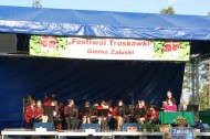 Festiwal Truskawki - Załuski 2011 - zdjęcia część 1 (152)