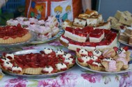 Festiwal Truskawki - Załuski 2011 - zdjęcia część 1 (88)